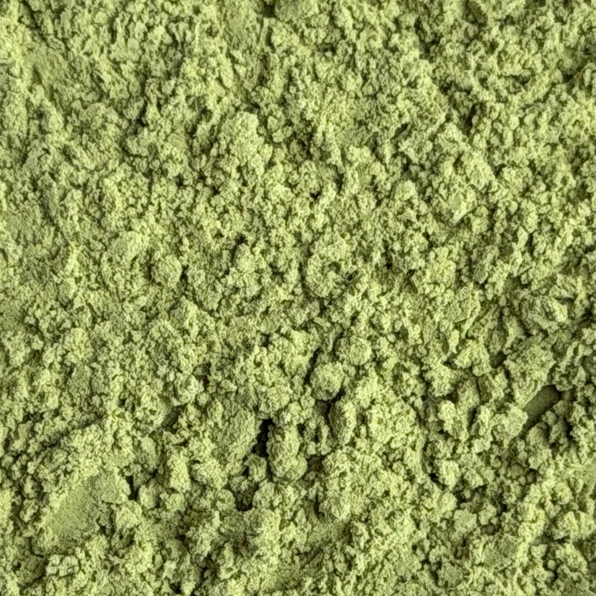 Primer plano del matcha all-day en polvo, tono verde claro